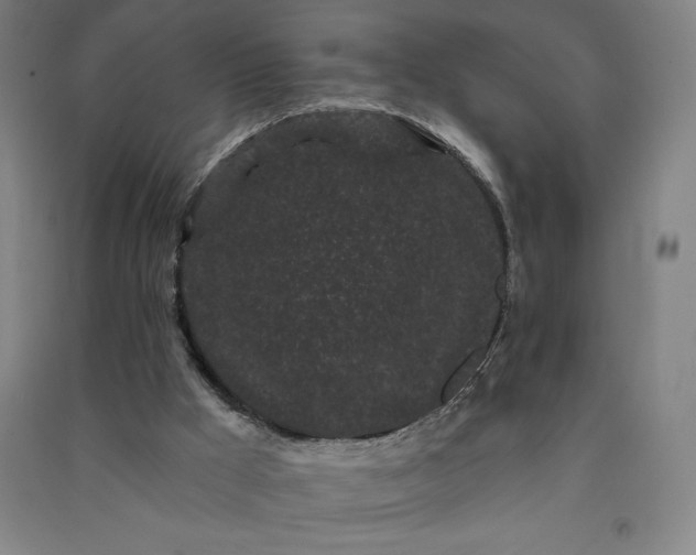 X0000091090009200708201508