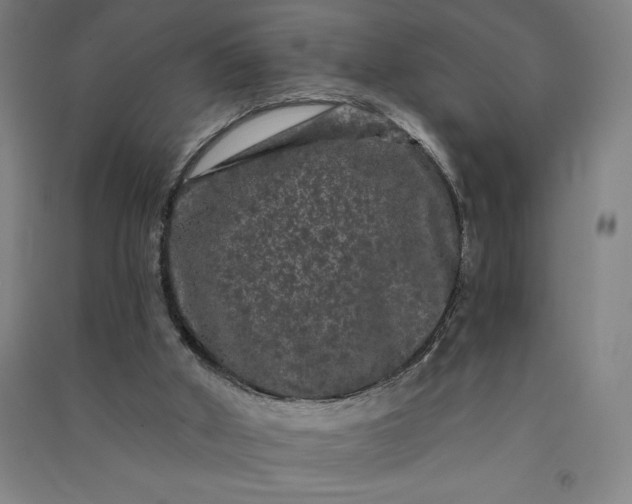 X0000091090010200708201508