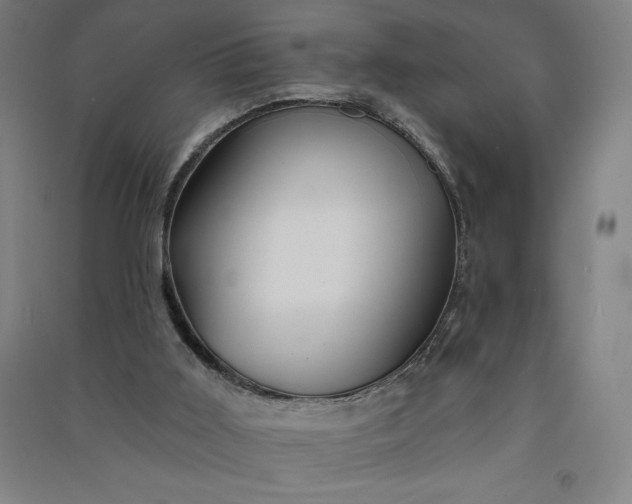 X0000091090011200708201508