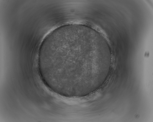 X0000091090012200708201508