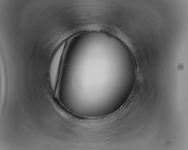 X0000091090013200708201508