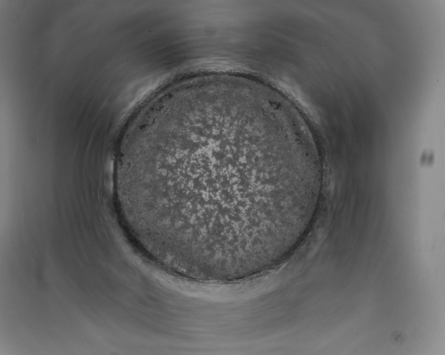 X0000091090014200708201508