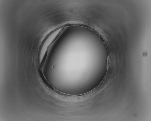 X0000091090015200708201508