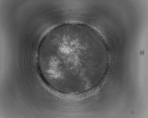 X0000091090016200708201508