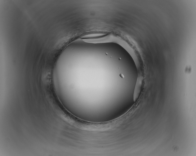 X0000091090017200708201508