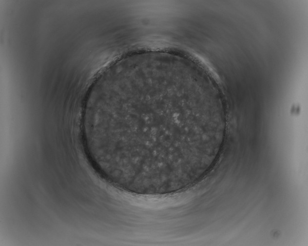 X0000091090018200708201508