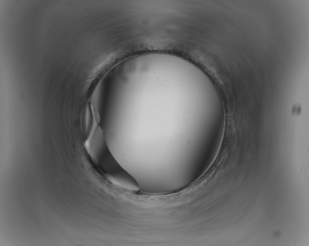 X0000091090019200708201508