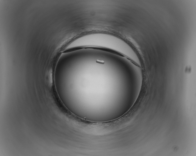 X0000091090020200708201508