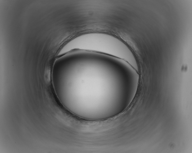 X0000091090021200708201508