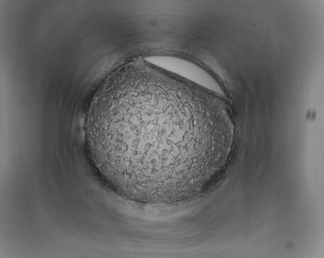 X0000091090022200708201508