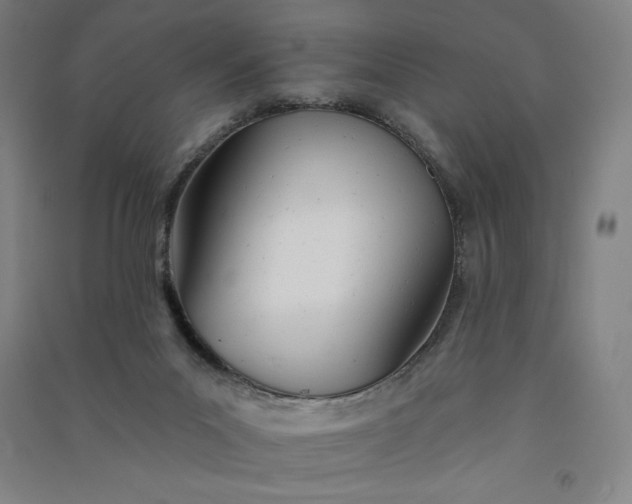 X0000091090023200708201508