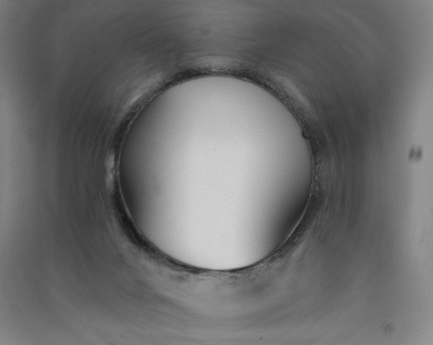 X0000091090024200708201508