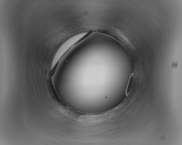 X0000091090025200708201508