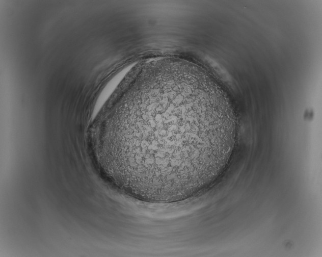 X0000091090026200708201508