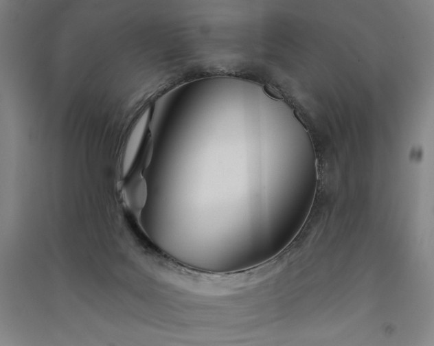 X0000091090027200708201508