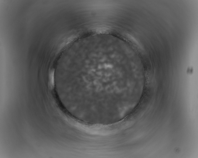 X0000091090028200708201507