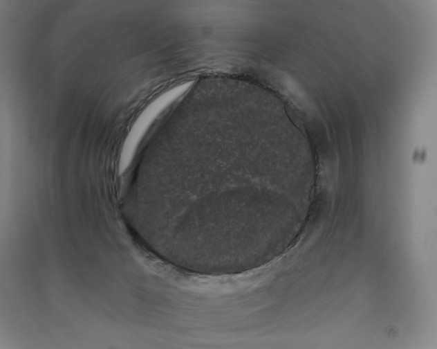 X0000091090029200708201507