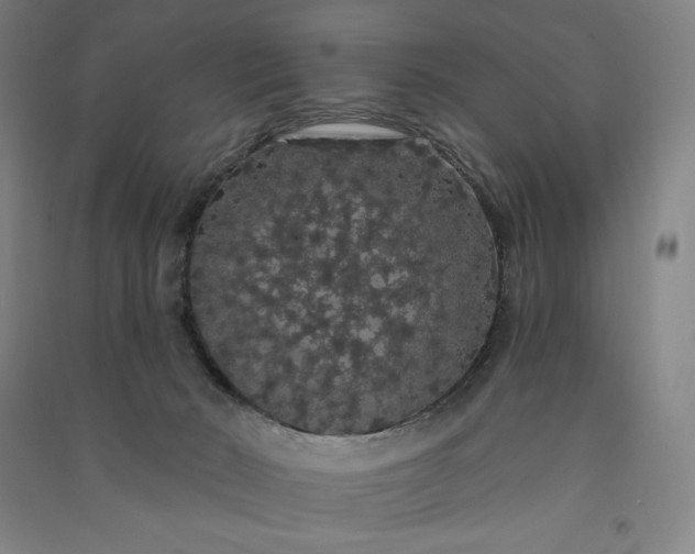 X0000091090030200708201507