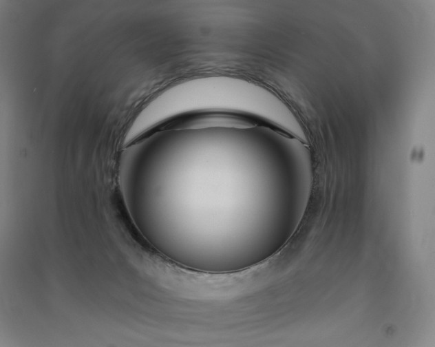 X0000091090031200708201507