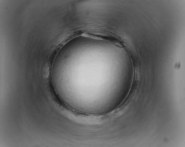 X0000091090032200708201507