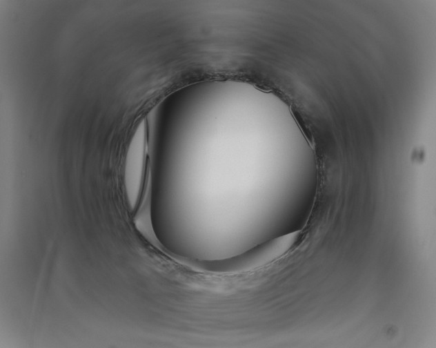 X0000091090033200708201507