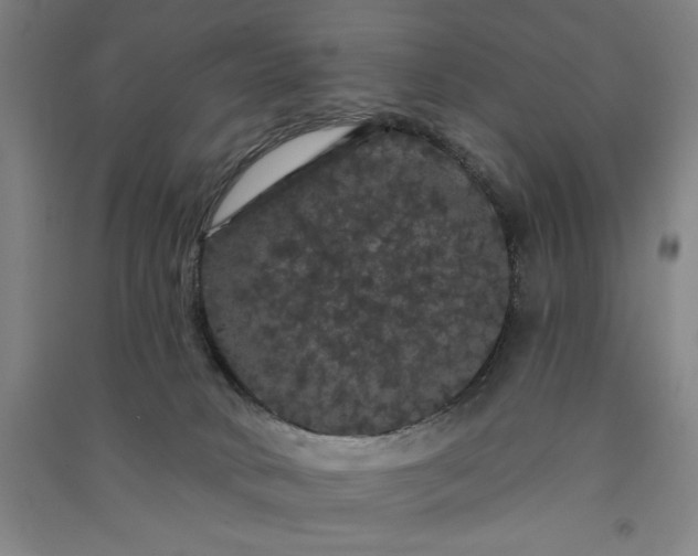 X0000091090034200708201507