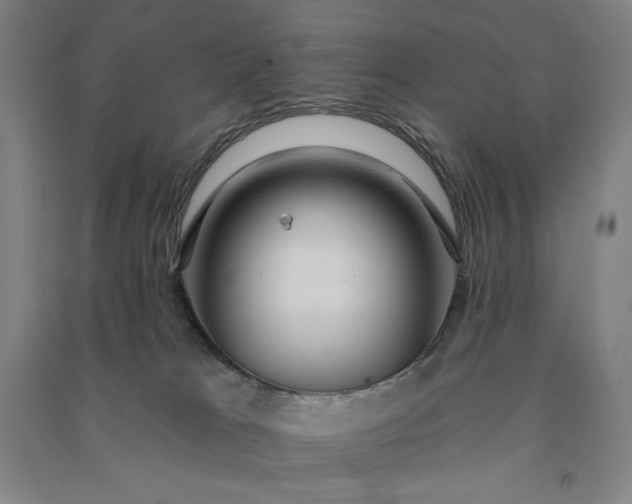 X0000091090037200708201507