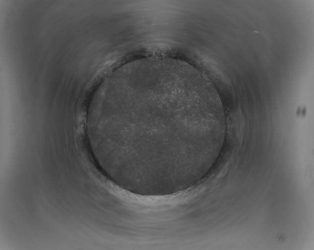 X0000091090038200708201507