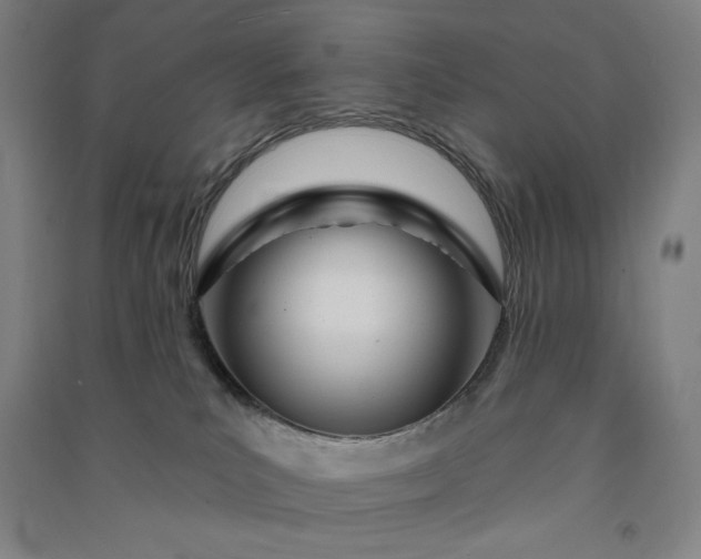 X0000091090039200708201507