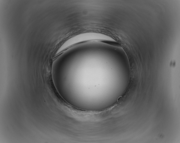 X0000091090040200708201507