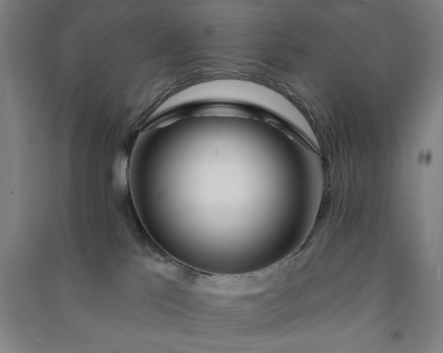 X0000091090041200708201507