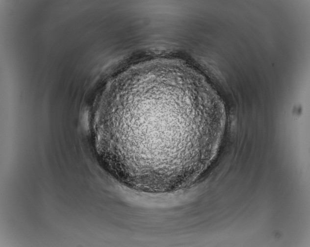 X0000091090042200708201507