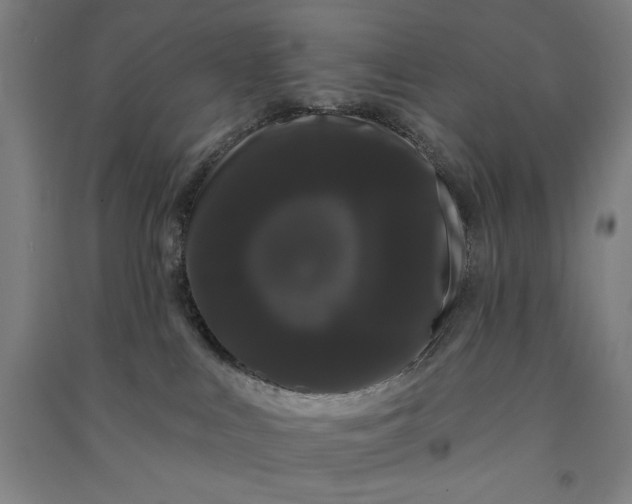 X0000091090043200708201507