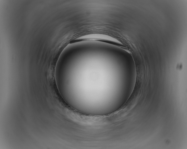 X0000091090044200708201507