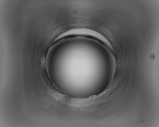 X0000091090045200708201507