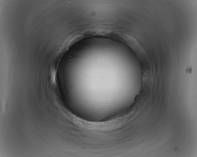 X0000091090046200708201507