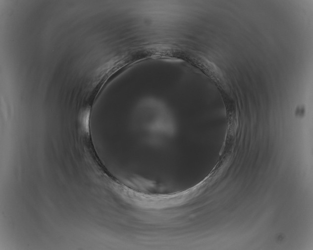 X0000091090047200708201507