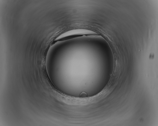 X0000091090048200708201507