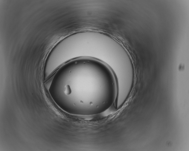 X0000091090049200708201507