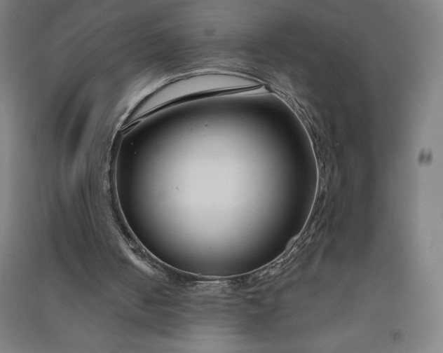 X0000091090050200708201507