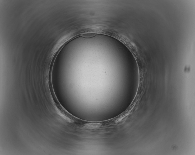 X0000091090051200708201507