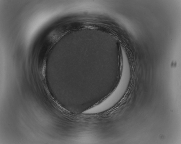 X0000091090052200708201507