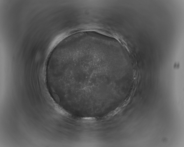 X0000091090053200708201507