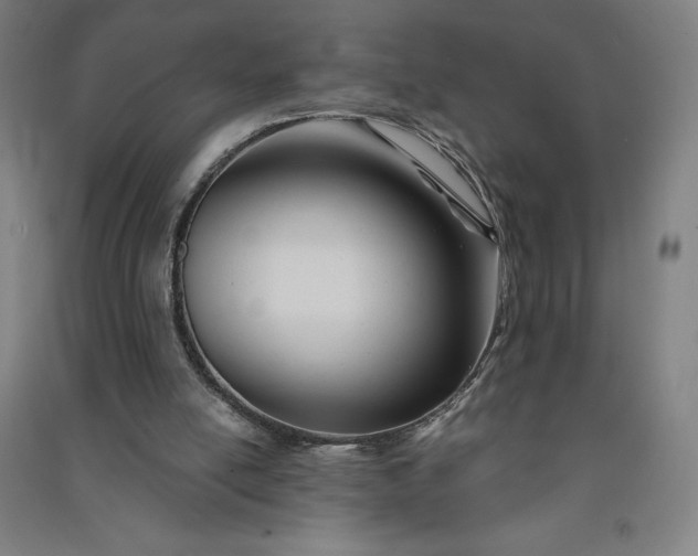 X0000091090054200708201507