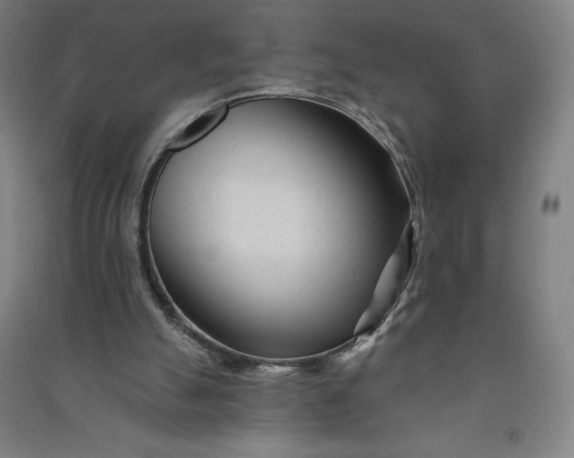 X0000091090055200708201507