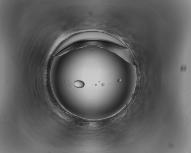 X0000091090056200708201507