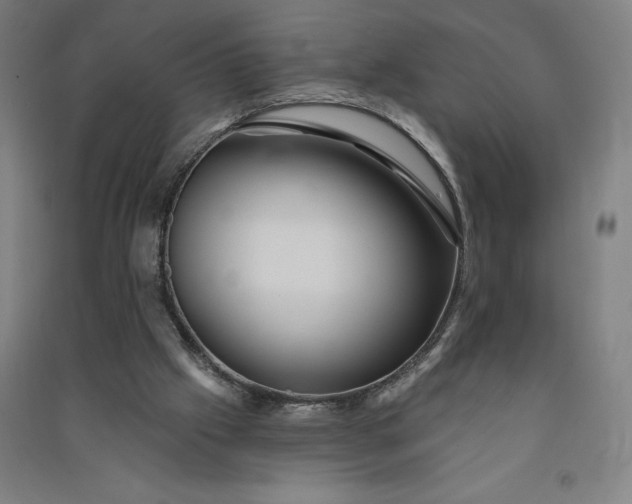 X0000091090057200708201507