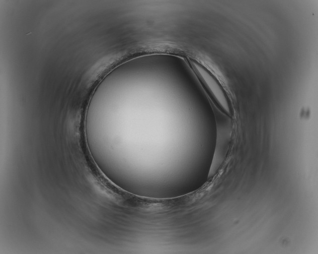 X0000091090058200708201507