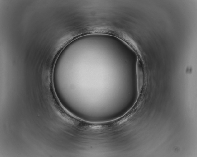 X0000091090059200708201507