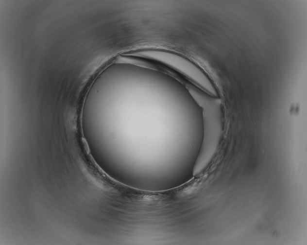 X0000091090060200708201507